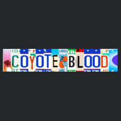 Florida License Plate Design
