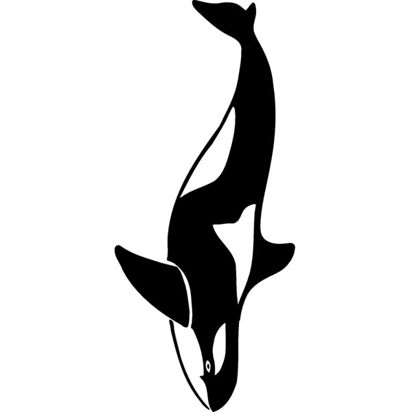 killerwhale04 Thumbnail